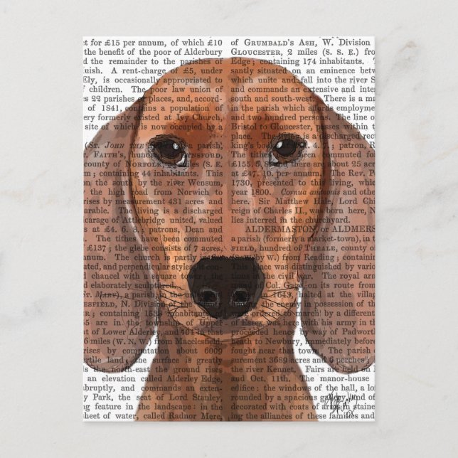 Cartão Postal Planilha de Ilustração de Dachshund (Frente)