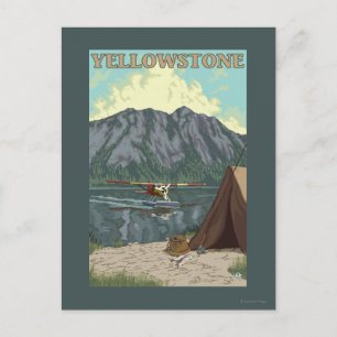 Cartão Postal Plano Bush e Pesca - Nacional Yellowstone