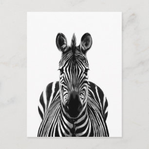 Cartão Postal Plano de backup III