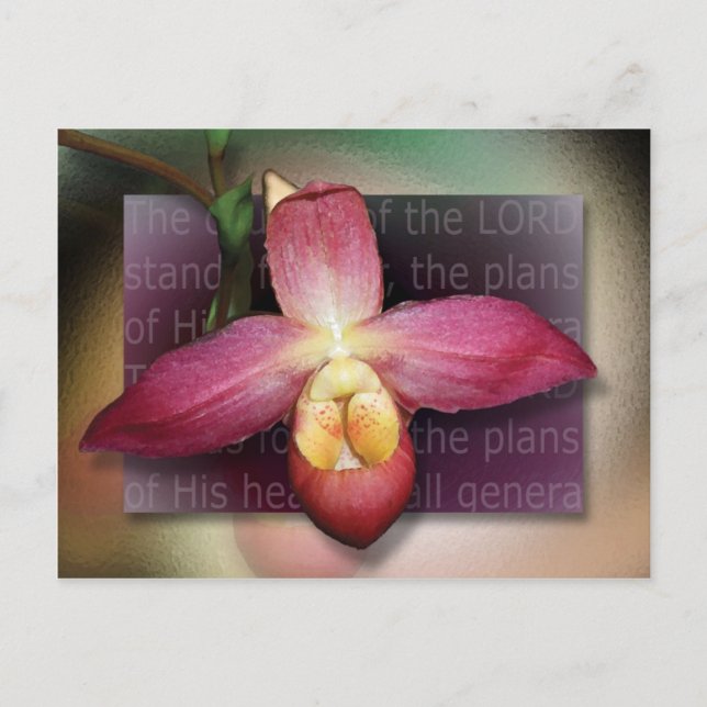 Cartão Postal Planos de Seu Coração (Frente)