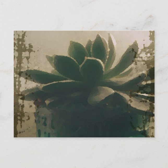 Cartão Postal Planta (Frente)