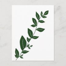 Planta Boho Verde