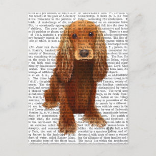 Cartão Postal Planta de Cocker Spaniel