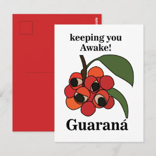 Cartão Postal Planta de Fruta de Guaraná Botânica