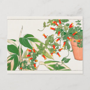 Cartão Postal Planta de oração, Firecracker de Tanigami Konan