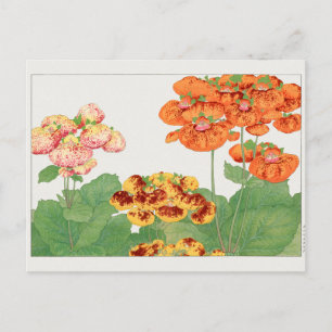 Cartão Postal Planta de pocketbook de Tanigami Konan