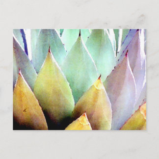 Cartão Postal Planta de século n.o 1