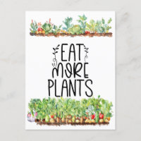 Planta Legume vegetal Vegetariano