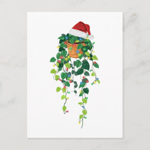 Cartão Postal Planta Pendurada Pothos Chapéu de Papai Noel Luzes