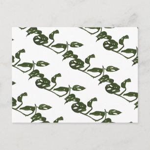 Cartão Postal Planta Queijo Monstera Adanosii Padrão Verde