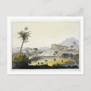 Cartão Postal Plantação de Açúcar, Antilhas (gravação a co