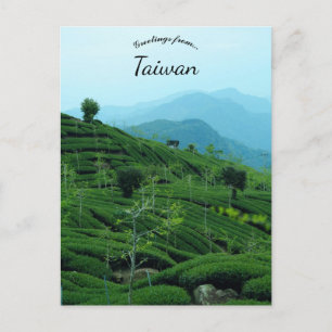 Cartão Postal Plantação de Chá em Taiwan