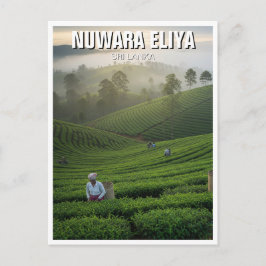 Cartão Postal Plantação de Chá Nuwara Eliya Sri Lanka