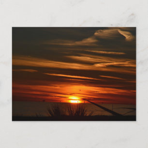 Cartão Postal Plantação Gulf Shores