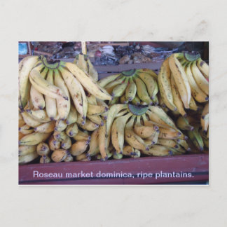 Cartão Postal plantains maduros.