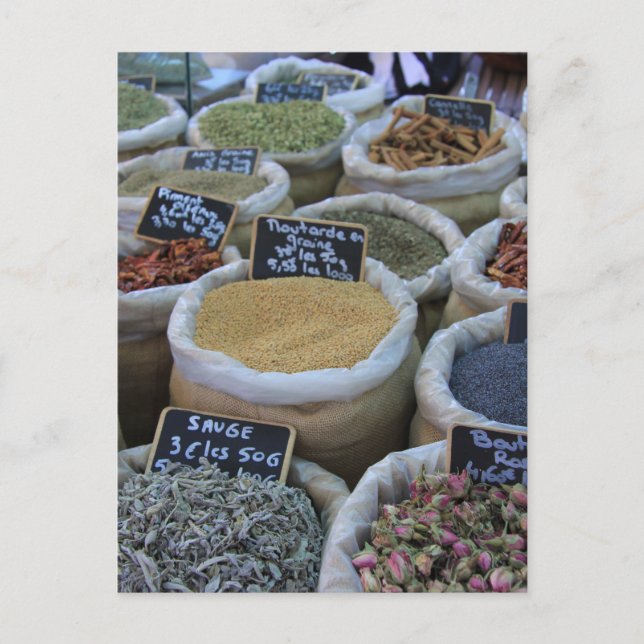 Cartão Postal Plantas aromáticas e especiarias (Frente)