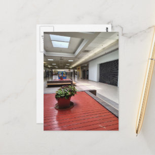 Cartão Postal Plantas Coloridas Espaço Liminal Shopping Abandona