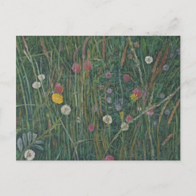 Cartão Postal Plantas da Machair 2008 (Frente)
