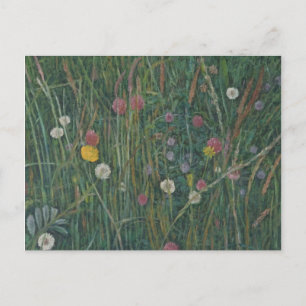 Cartão Postal Plantas da Machair 2008