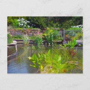 Cartão Postal Plantas de água nos jardins Pond Powell, Kansas C