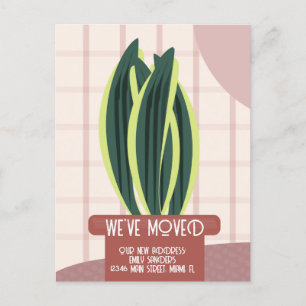 Cartão Postal Plantas de Casa Endereço NOVA CASA Moderna