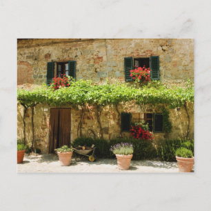 Cartão Postal Plantas plantadas fora de uma casa, Piazza Roma,