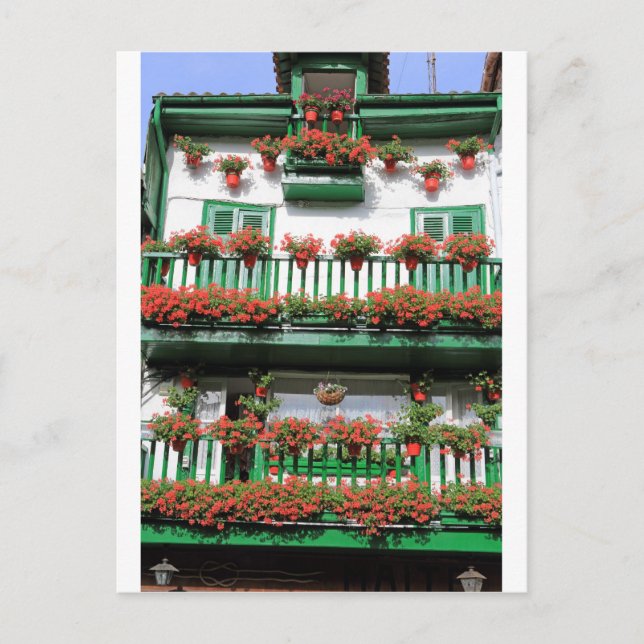 Cartão Postal Plantas potes com flores vermelhas que quintam a v (Frente)