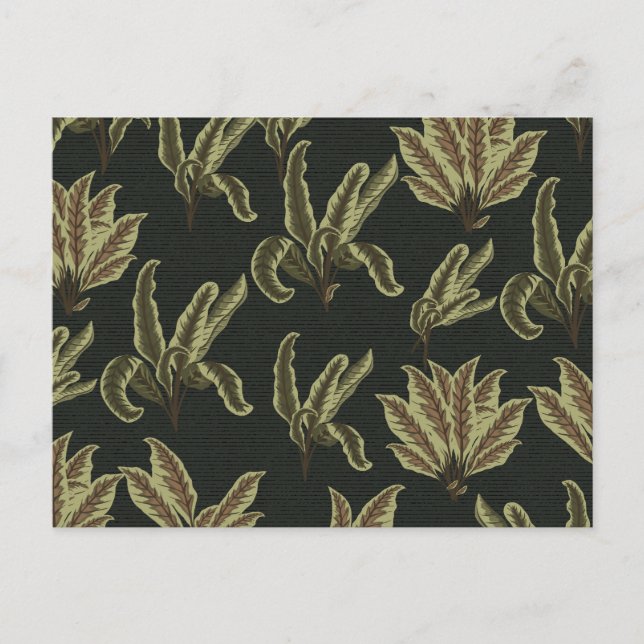 Cartão Postal Plantas Vintage Potted (Frente)