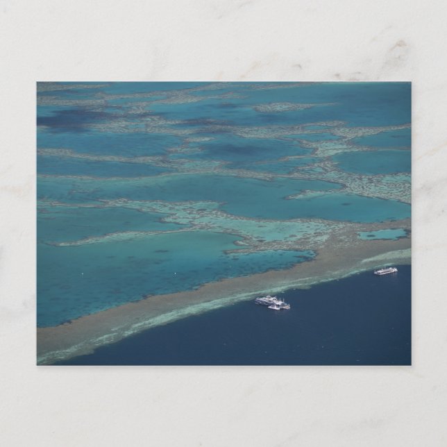 Cartão Postal Plataformas de mergulho perto do recife, barreira  (Frente)