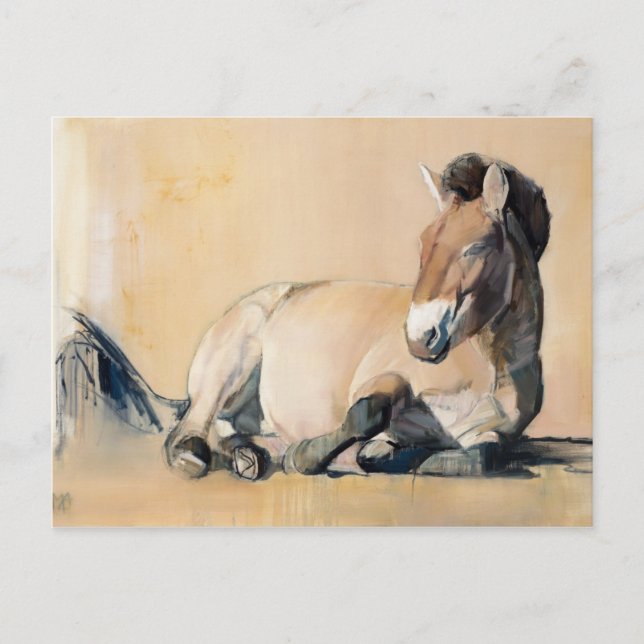 Cartão Postal Plateau Sun (Frente)