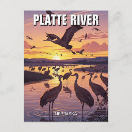 Cartão Postal Platte River Sandhill Cranes Nebraska Travel