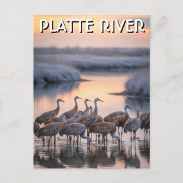 Cartão Postal Platte River Sandhill Cranes Nebraska Travel