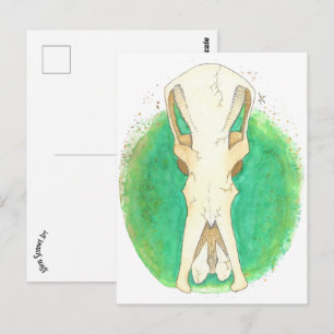 Cartão Postal Platypus Skull