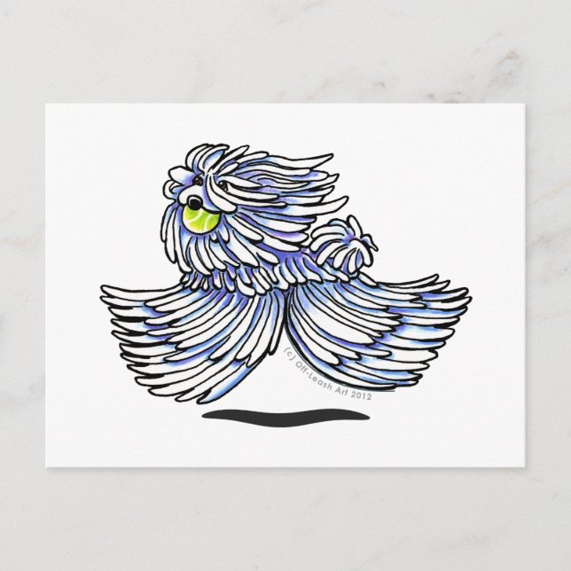 Cartão Postal Playful Puli Komondor (Frente)