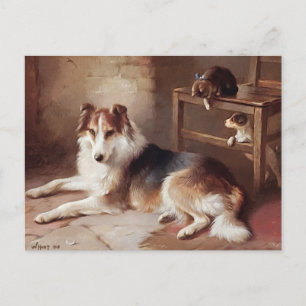 Cartão Postal Playmates - Cachorro - Cachorro