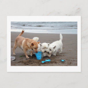 Cartão Postal Playtime na praia