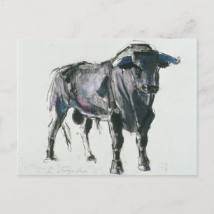 Cartão Postal Plaza de Toros de Miajadas 1998