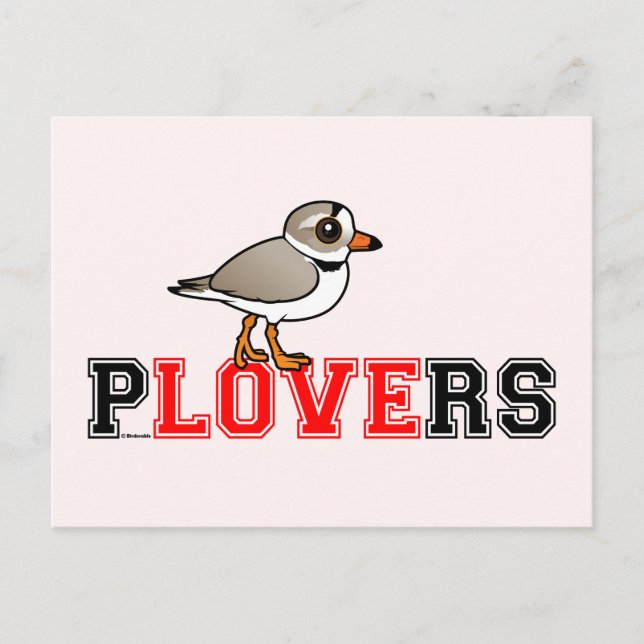 Cartão Postal Plovers Love (Frente)