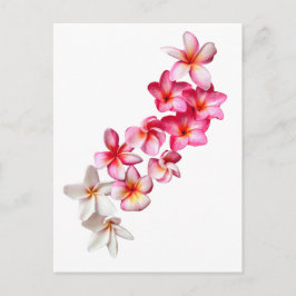 Cartão Postal Plumeria Blooms Collage