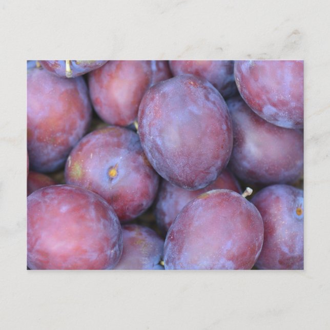 Cartão Postal Plums Card (Frente)