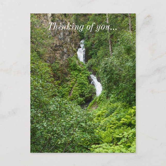 Cartão Postal Plush Thunderbird Painterly (Frente)