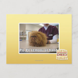 Cartão Postal Plz remove nossa mão