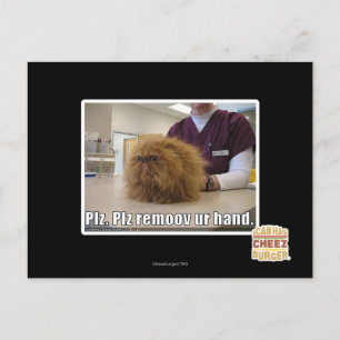 Cartão Postal Plz remove nossa mão