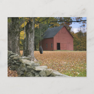 Cartão Postal Pneus balançando ao longo de uma estrada no sul d