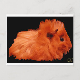 Cartão Postal Pó Puff