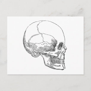 Cartão Postal Pobre Crânio de Yorick
