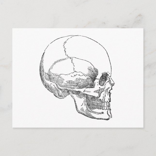 Cartão Postal Pobre Crânio de Yorick (Frente)