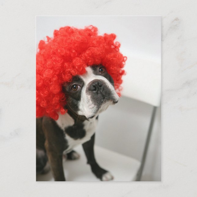 Cartão Postal Pocky Postcards (Frente)