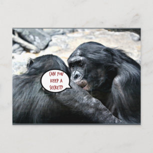 Cartão Postal Pode guardar um segredo?