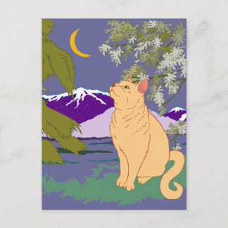 Cartão Postal Pode Haver Ratos